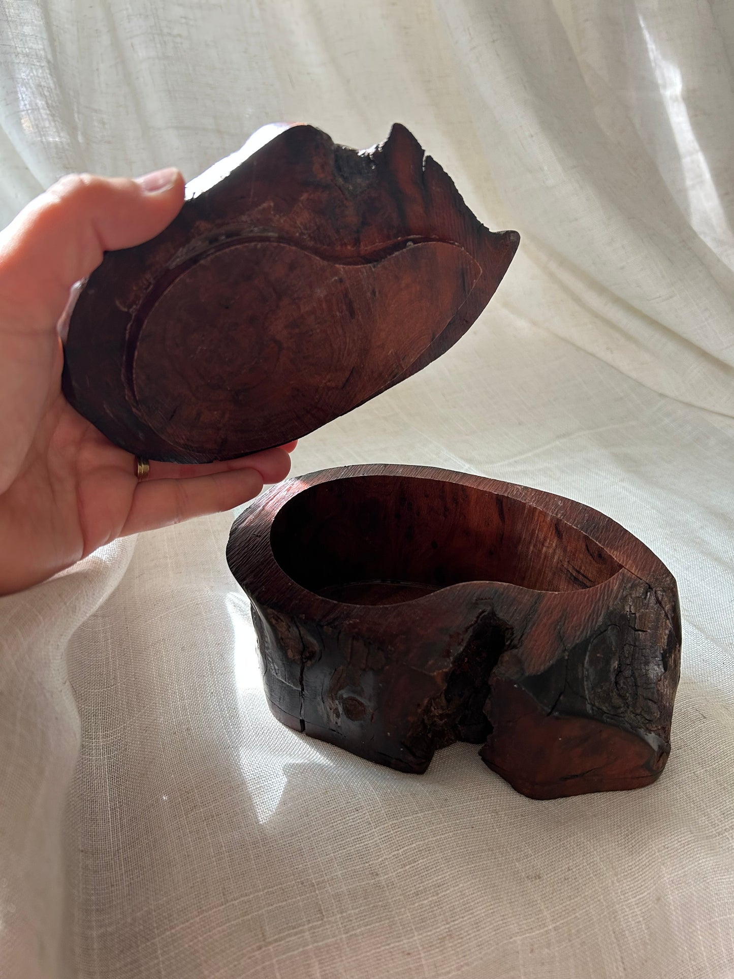 Vintage California Redwood Slice Trinket Box